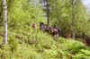 jutenheimen_04_TI_9.jpg (160757 byte)