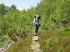 Norge 072.jpg (219278 byte)