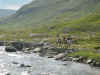 Norge 093.jpg (159361 byte)