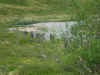 Norge 169.jpg (168860 byte)