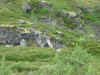 Norge 184.jpg (171271 byte)