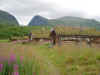 Norge 195.jpg (132948 byte)