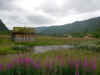 Norge 196.jpg (114323 byte)