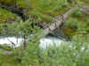 Norge 204.jpg (173894 byte)