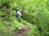 Norge 216.jpg (223943 byte)