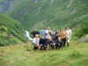 Norge 220.jpg (170126 byte)