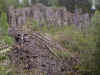 valle_vandring04050912_1.jpg (53086 byte)