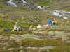 vandring_04_12.jpg (52703 byte)