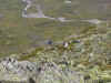 vandring_04_38.jpg (44646 byte)