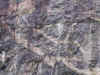 vandring_04_65.jpg (53325 byte)