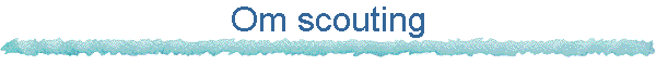 Om scouting